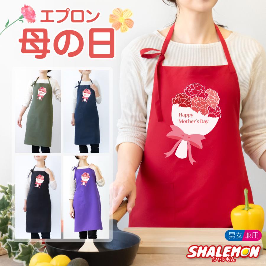 シャレもん 母の日 プレゼント 実用的 ギフト カーネーション