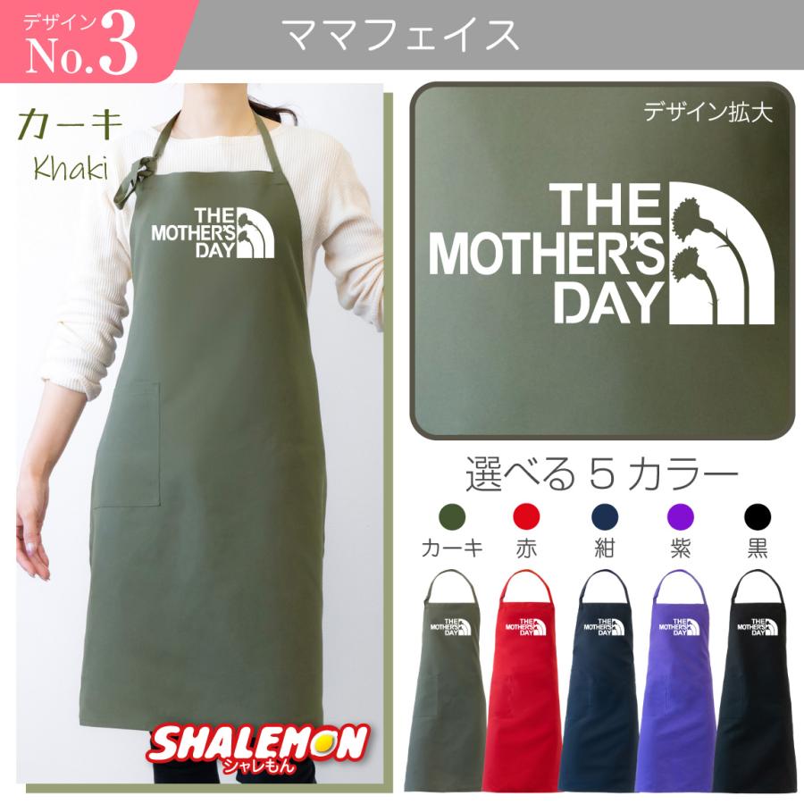 シャレもん 母の日 プレゼント 実用的 ギフト カーネーション