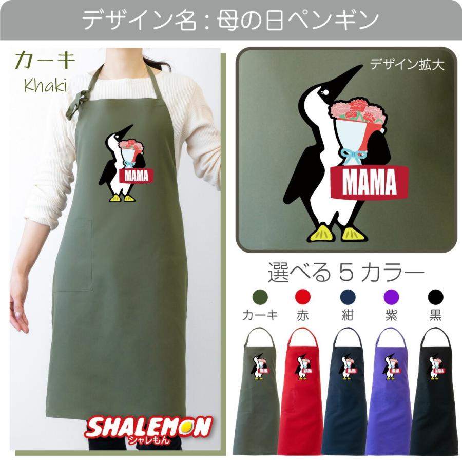 シャレもん 母の日 プレゼント 実用的 ギフト カーネーション