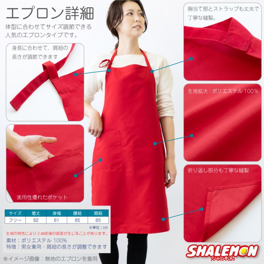 シャレもん クリスマス サンタ コスプレ プレゼント ( エプロン 選べる