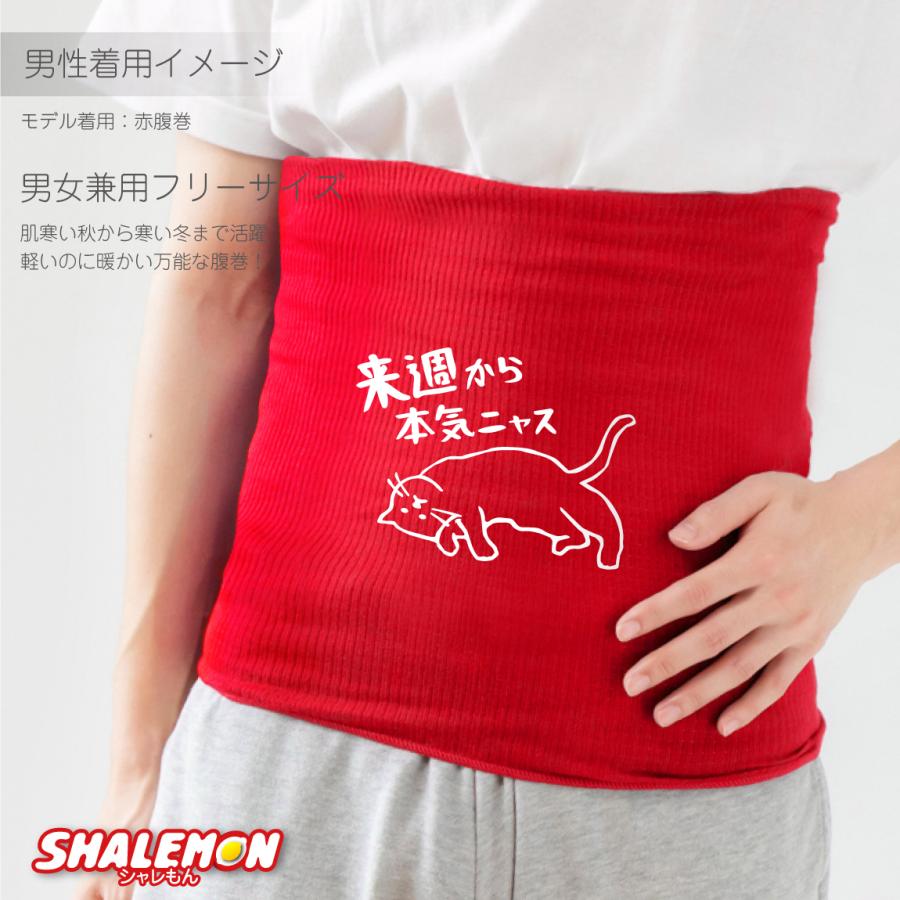 シャレもん 猫 ネコ 猫の日 グッズ 猫柄 ねこ ( 選べる 7色 腹巻 来週