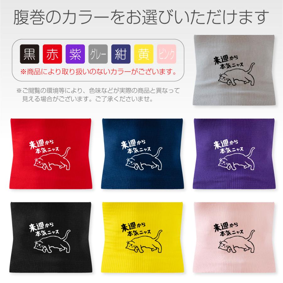 シャレもん 猫 ネコ 猫の日 グッズ 猫柄 ねこ ( 選べる 7色 腹巻 来週
