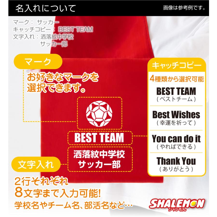 シャレもん 名入れタオル スポーツ 卒団記念品 名入れ タオル アイコン