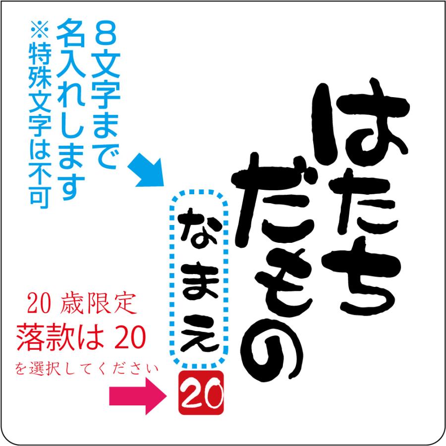 名入れ 二十歳 二十代 アラハタ Tシャツ ( 選べる5色 20代 だものシリーズ ) 20歳 プレゼント 誕生日 バースデー メンズ レディース /A12A/(DMT) シャレもん | シャレもん | 02