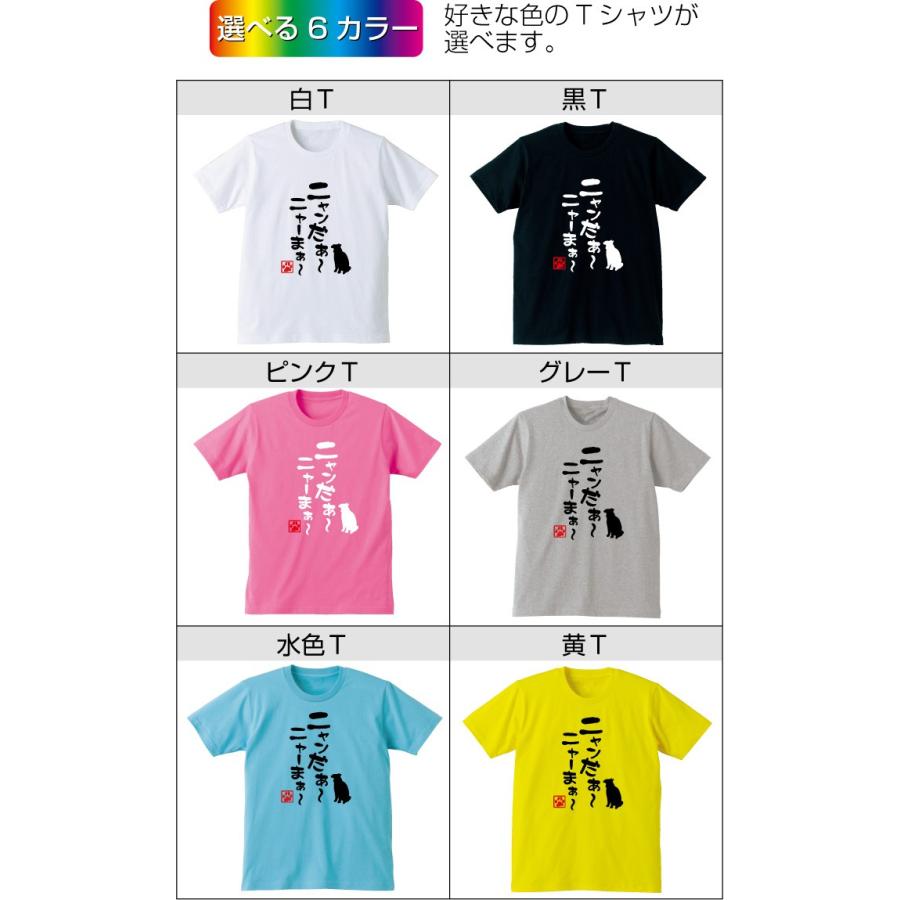 ねこ おもしろｔシャツ 選べる6色 Tシャツニャンだぁ ニャーまぁ おもしろ キッズ メンズ プレゼント 猫カフェ ネコ 雑貨 シャレもん O6 Tscs6c Neko Nyander シャレもんヤフーショッピング店 通販 Yahoo ショッピング