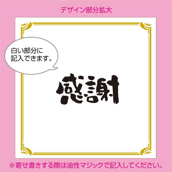 送別会 お別れ会 卒業式 記念品 ( 選べる6色 Ｔシャツ寄せ書き ) おもしろ プレゼント マジックで書ける /D20/｜shalemon｜02