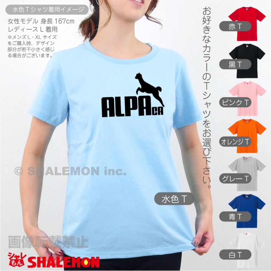 海外ラグジュアリーカジュアルセット ルルレモンパーカー&ドルガバ ロゴTシャツ 210.jpg