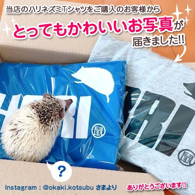 シャレもん ハリネズミ グッズ おもしろ アニマル Tシャツ