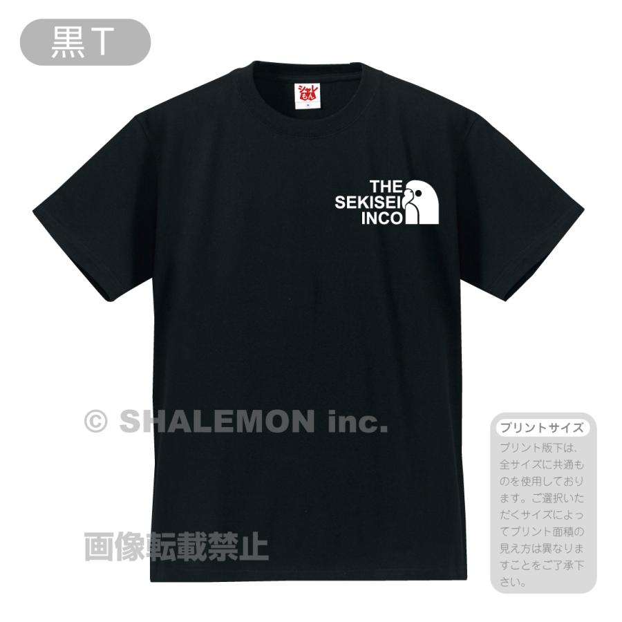 インゴシマ Tシャツ 限定50名 104it1.jpg