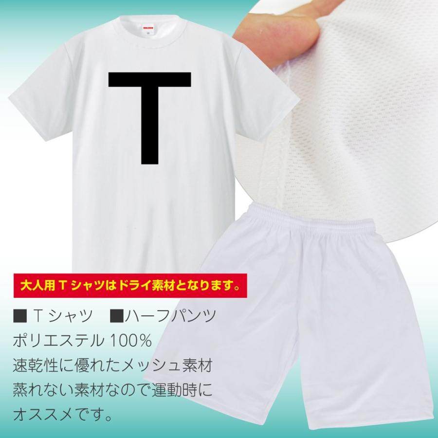 シャレもん 新年会 コスプレ ( Tシャツ＆ハーフパンツ 上下セット