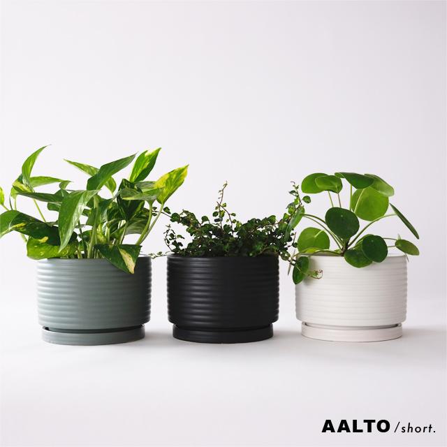 AALTO【 short 】15cm×10cm 植木鉢 受皿付 5号 シンプル グリーン
