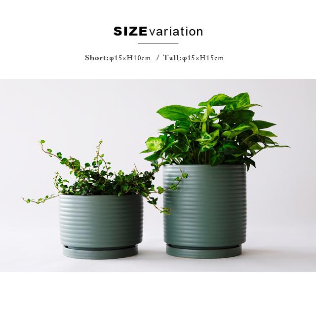 AALTO【 tall 】15cm×15cm 植木鉢 受皿付 5号 シンプル グリーン
