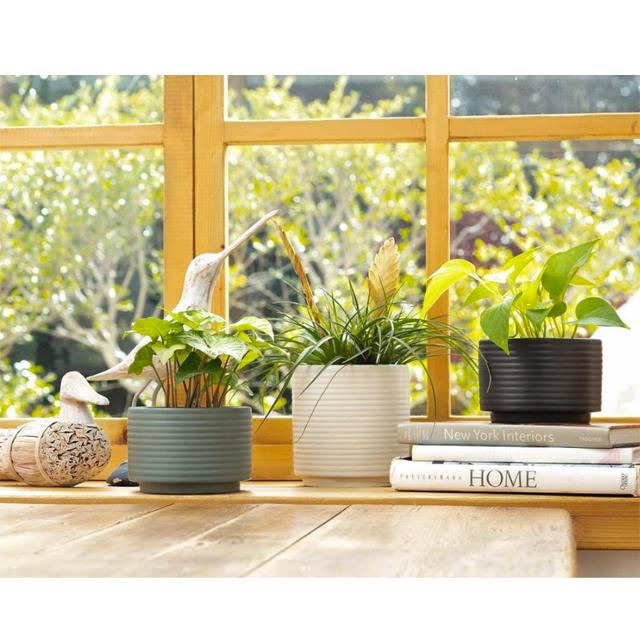 AALTO【 tall 】15cm×15cm 植木鉢 受皿付 5号 シンプル グリーン