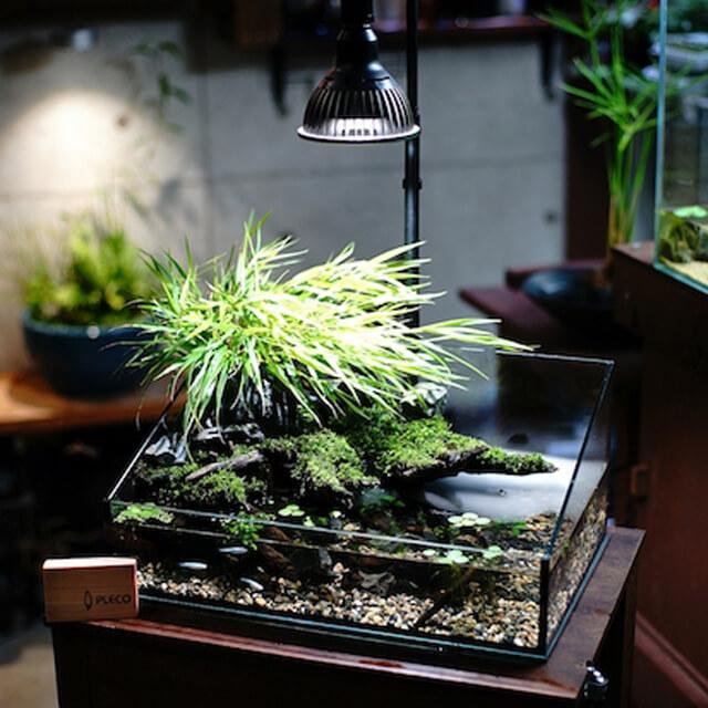 アマテラス 【LED 10W】 植物育成ライト BARREL 水槽用照明 