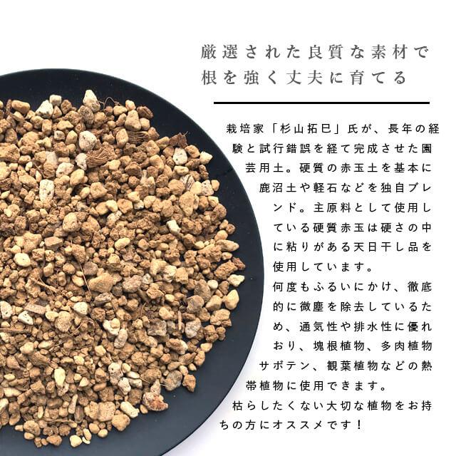 best soil mix 【3L】 ベストソイルミックス BANKS Collection 培養土