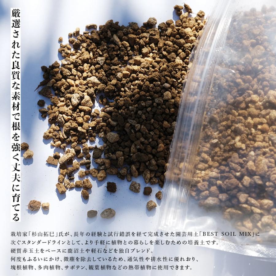 Handy Soil Mix 【3L】ハンディソイルミックス 虫がわきにくい有機質を