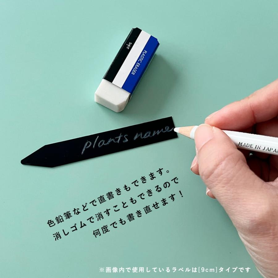 BLACK LABEL【12cm】10枚入り 園芸ラベル 黒ラベル ブラックラベル