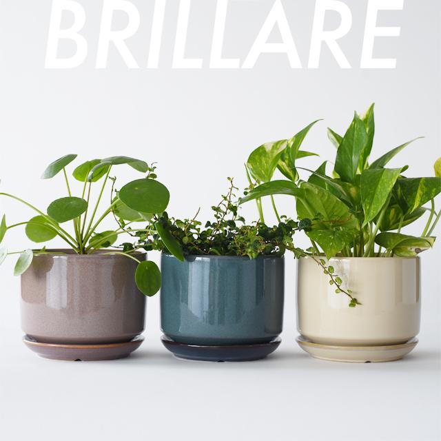 BRILLARE【M】13.5cm×10cm 植木鉢 受皿付 4.5号 シンプル 陶器 北欧 白