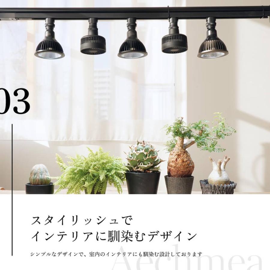 エクメア【小型送風機】AECHMEA BARREL プラント ファン ホワイト