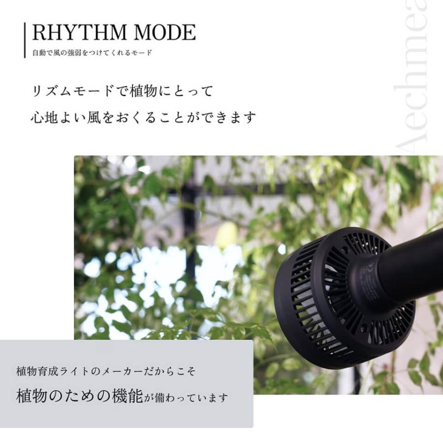 エクメア【小型送風機】AECHMEA BARREL プラント ファン ホワイト