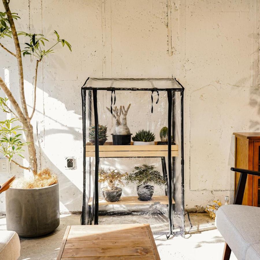 ビニール温室 GREEN THUMBERS OF BARREL ビニールハウス 黒フレーム