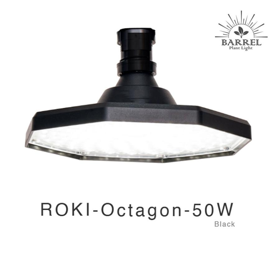 ROKI-OCTAGON-50W ロキ　オクタゴン　ブラック ROKI-OCTAGON-50W その他