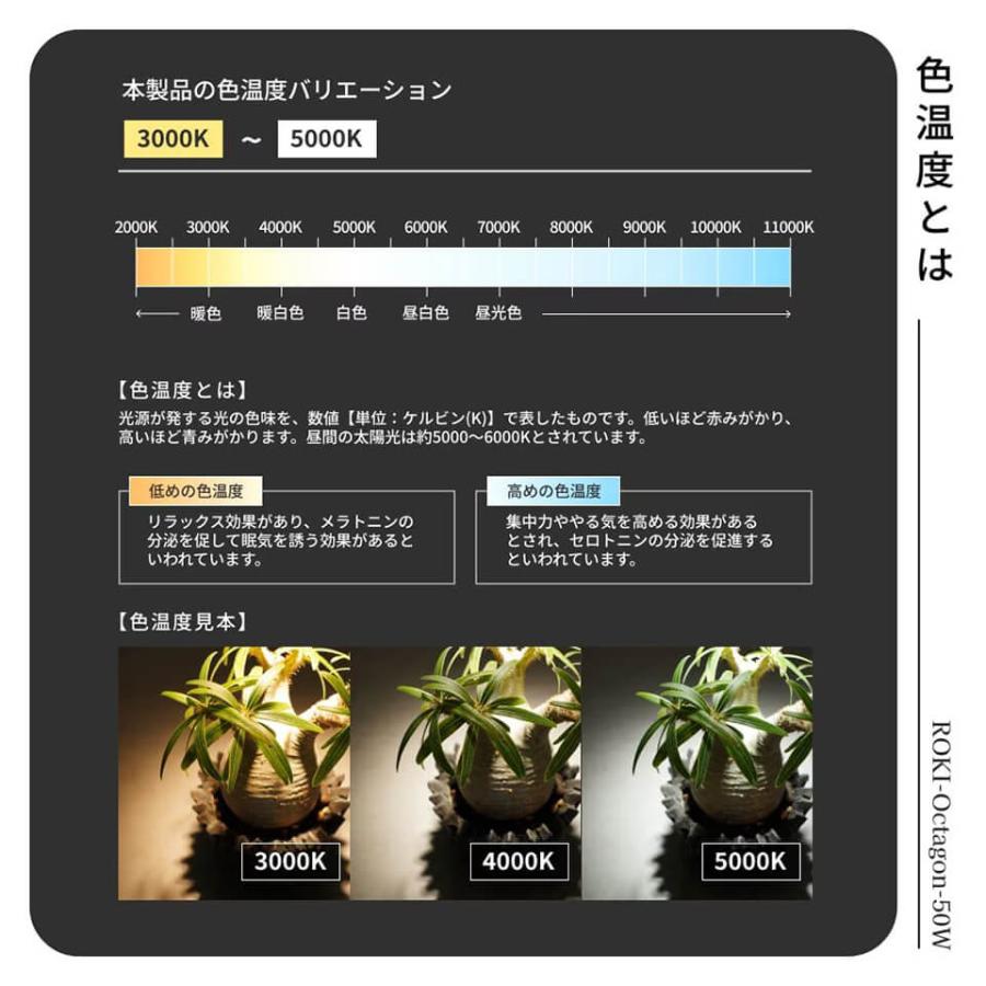 パネルライト【ROKI OCTAGON 50W】ロキ オクタゴン BARREL LED 植物