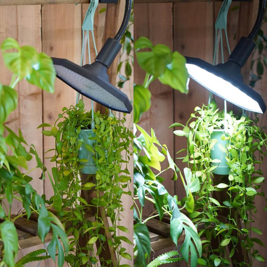 パネルライト【ROKI OCTAGON 50W】ロキ オクタゴン BARREL LED 植物