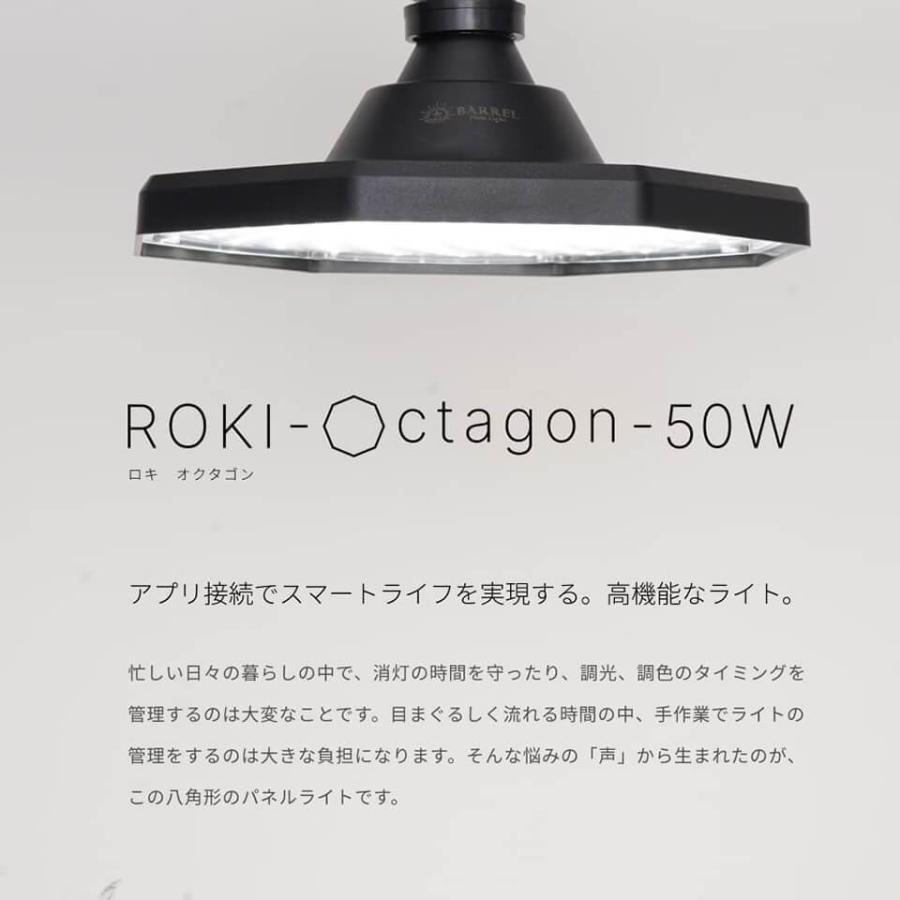 パネルライト【ROKI OCTAGON 50W】ロキ オクタゴン BARREL LED 植物