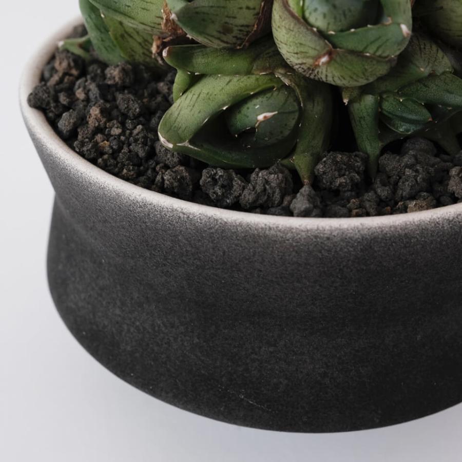 HINOKI【 GIZA 】BLACK Φ11cm×H7.5cm 3.5号 植木鉢 美濃焼 陶磁器 梅花