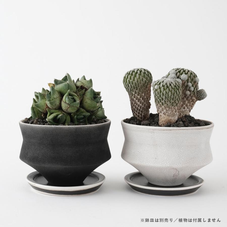 HINOKI【 GIZA 】BLACK Φ11cm×H7.5cm 3.5号 植木鉢 美濃焼 陶磁器 梅花