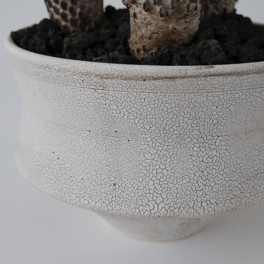 HINOKI【 GIZA 】WHITE Φ11cm×H7.5cm 3.5号 植木鉢 美濃焼 HINOKI【 GIZA 】WHITE Φ11cm×H7.5cm 3.5号 植木鉢 美濃焼