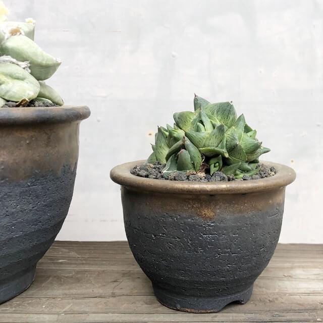 KAMIYAMA【金彩中深 -L-】ROUND POT 17cm×11.5cm 5号 かみ山陶器