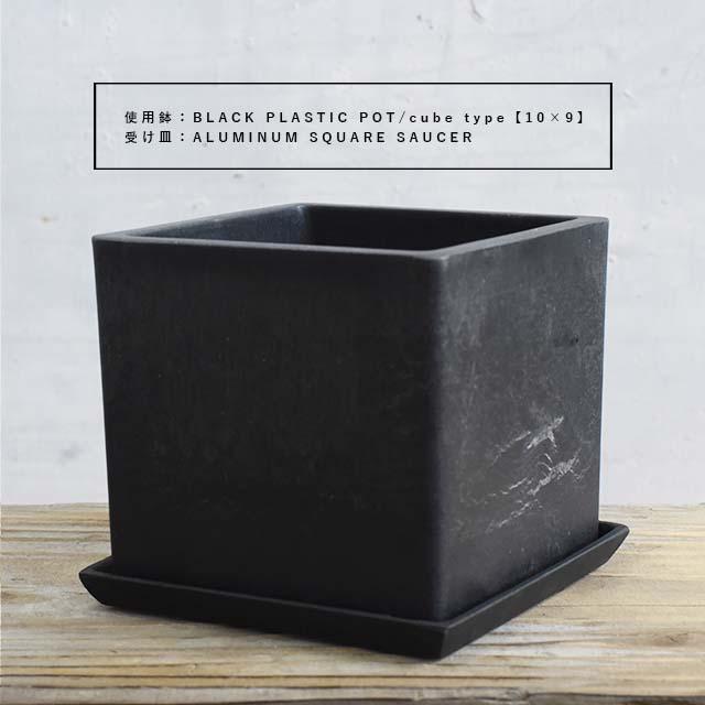BLACK PLASTIC POT【CUBE TYPE】10cm×9cm 黒 プラ鉢 3号 植木鉢