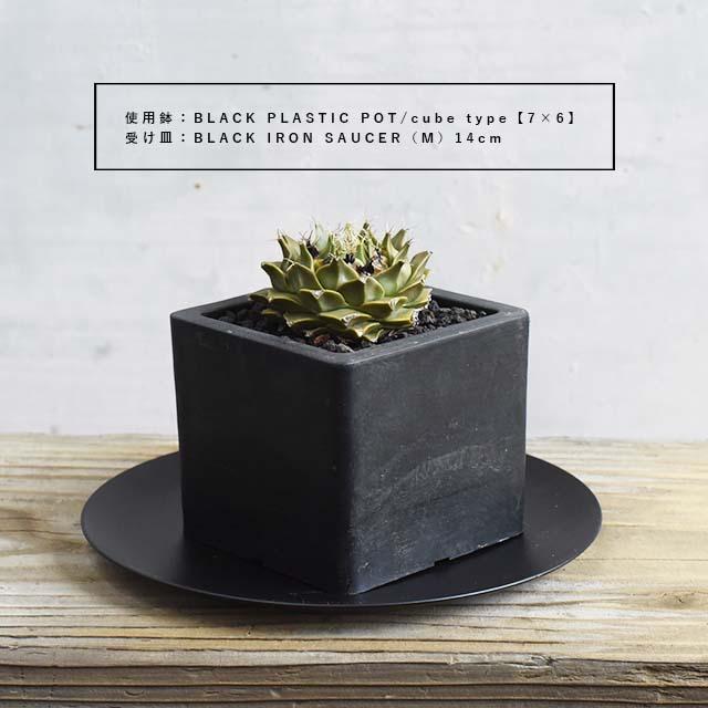 5個セット】BLACK PLASTIC POT【CUBE TYPE】7.5cm×6.5cm 黒 プラ鉢 3号