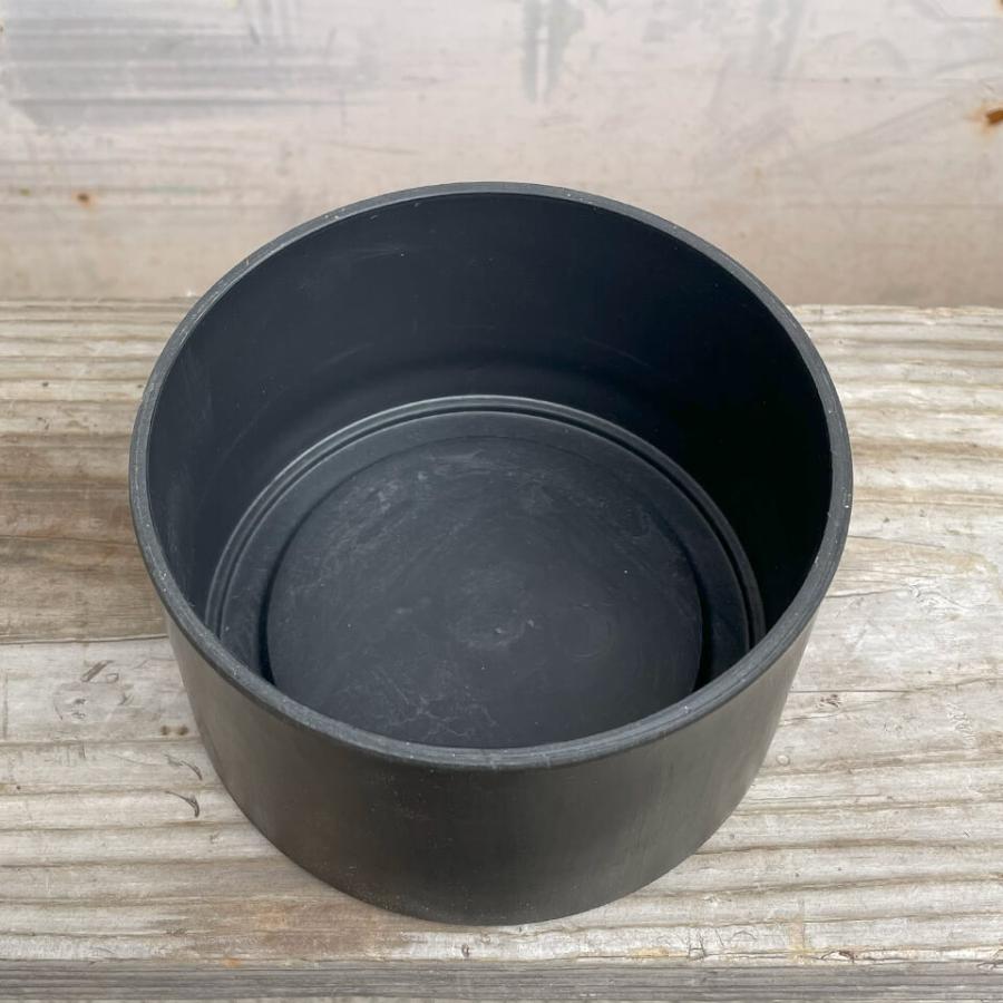 BLACK PLASTIC POT【CYLINDER LOW TYPE】14cm×8cm 黒 プラ鉢 5号