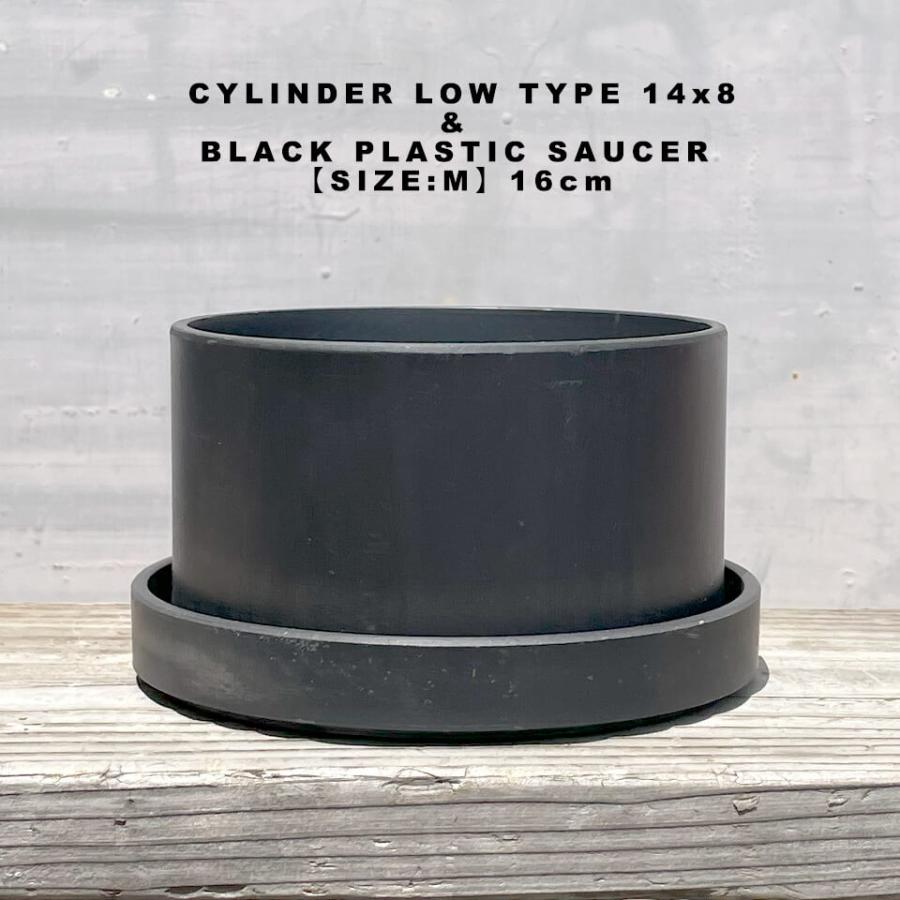 BLACK PLASTIC POT【CYLINDER LOW TYPE】14cm×8cm 黒 プラ鉢 5号 BLACK PLASTIC POT【CYLINDER LOW TYPE】14cm×8cm 黒 プラ鉢 5号