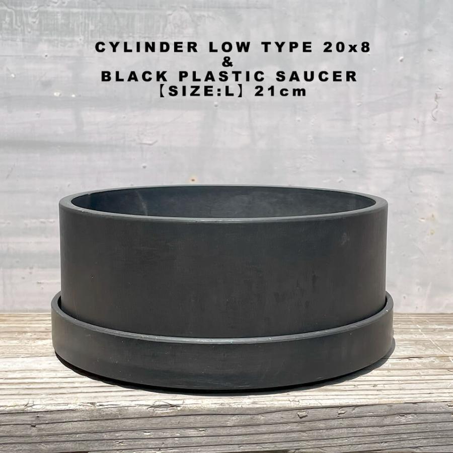 BLACK PLASTIC POT【CYLINDER LOW TYPE】20cm×8cm 黒 プラ鉢 7号 BLACK PLASTIC POT【CYLINDER LOW TYPE】20cm×8cm 黒 プラ鉢 7号