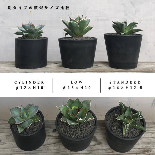 BLACK PLASTIC POT【CYLINDER TYPE】12cm×10cm 黒 プラ鉢 4号 BLACK PLASTIC POT【CYLINDER TYPE】12cm×10cm 黒 プラ鉢 4号