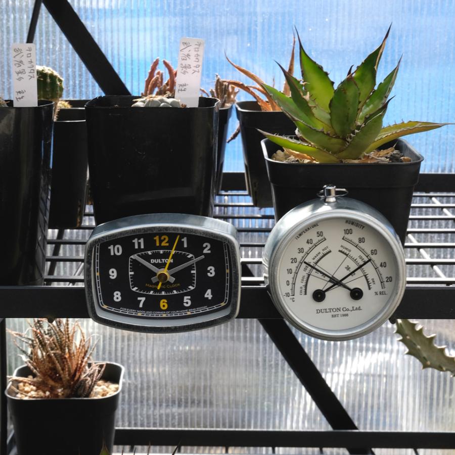 DULTON 大きめアナログ時計 黒 DULTON（ダルトン） MAGNETIC CLOCK【BLACK】ラウンドタイプ アナログ