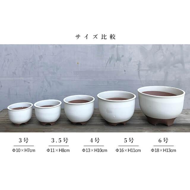 伝市鉢 コウロ型【白化粧】3号 植木鉢 陶器 丹波立杭焼 市野伝市窯