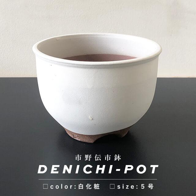 伝市鉢 コウロ型【白化粧】5号 植木鉢 陶器 丹波立杭焼 市野伝市窯