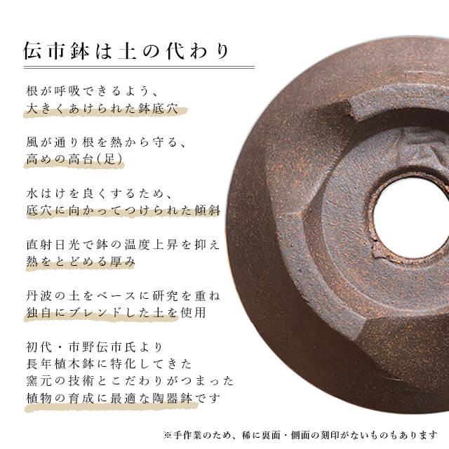 伝市鉢 コウロ型【素焼き】5号 植木鉢 陶器 丹波立杭焼 市野伝市窯