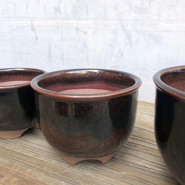 伝市鉢 コウロ型【丹波黒】6号 植木鉢 陶器 丹波立杭焼 市野伝市窯