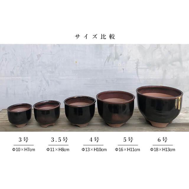 伝市鉢 コウロ型【丹波黒】6号 植木鉢 陶器 丹波立杭焼 市野伝市窯