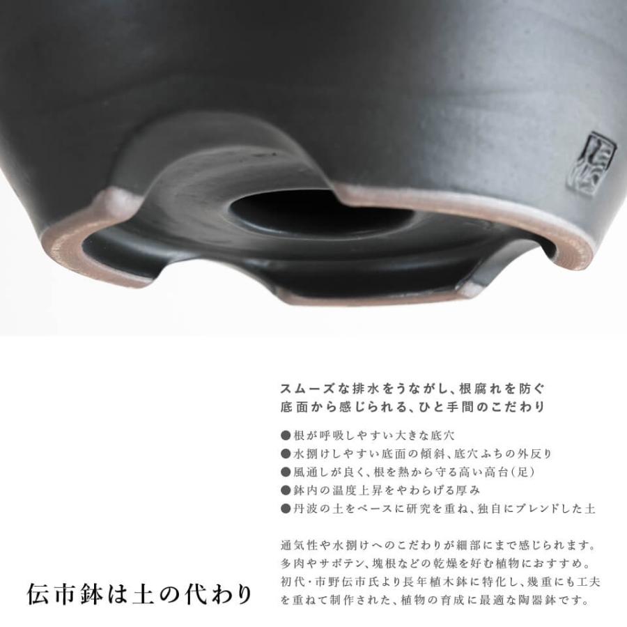 伝市鉢 中深型【ブラック】6号 Φ18×H8cm 植木鉢 陶器 丹波立杭焼 市野
