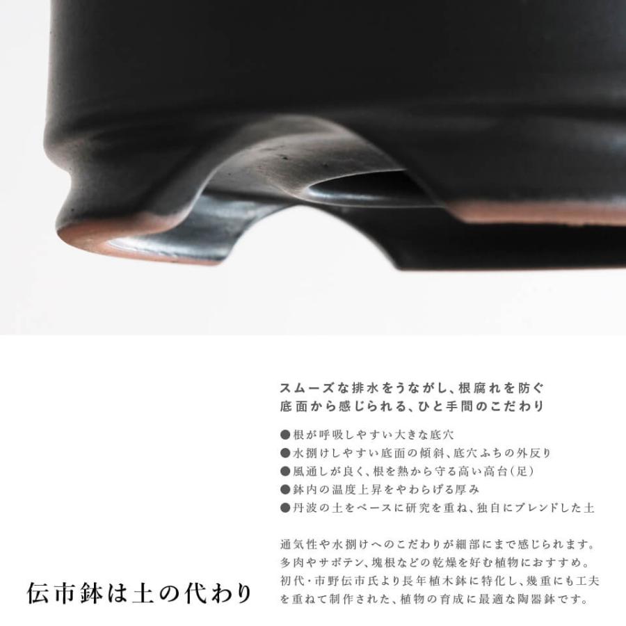 伝市鉢 シャジン型【ブラック】3.5号 Φ10.5×H12cm 植木鉢 黒 陶器 丹波