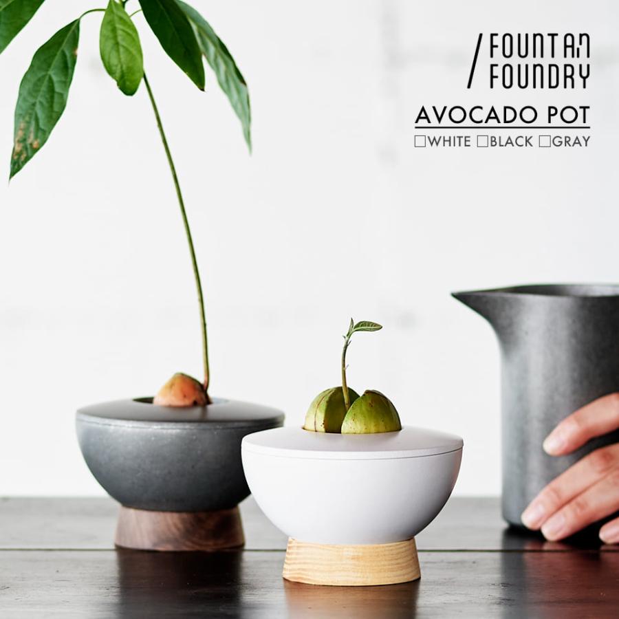 AVOCADO POT アボカドの種を育てる器 【FOUNTAIN/FOUNDRY】水耕栽培 植木鉢 球根 おしゃれ かっこいい 子株 カキコ 葉挿し プレゼント 白 バレル研磨（Yahoo!・SHALLOWPLANTS）
