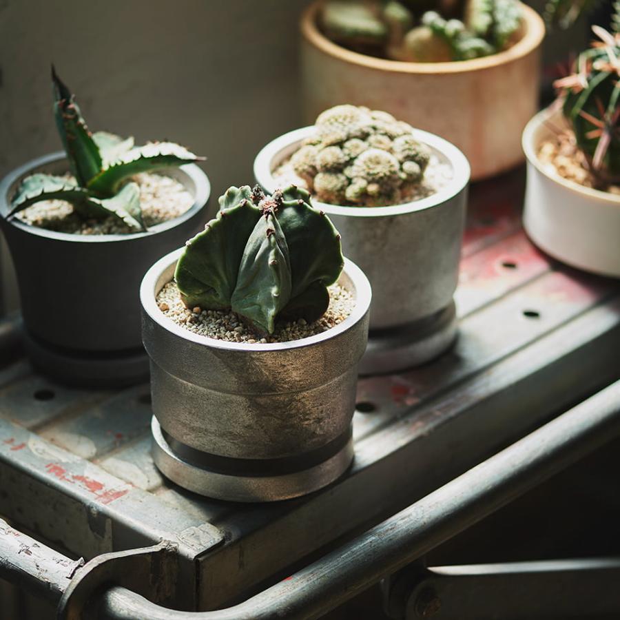 TEDDY PLANTER【FOUNTAIN/FOUNDRY】アルミ鋳物職人が作った植木鉢