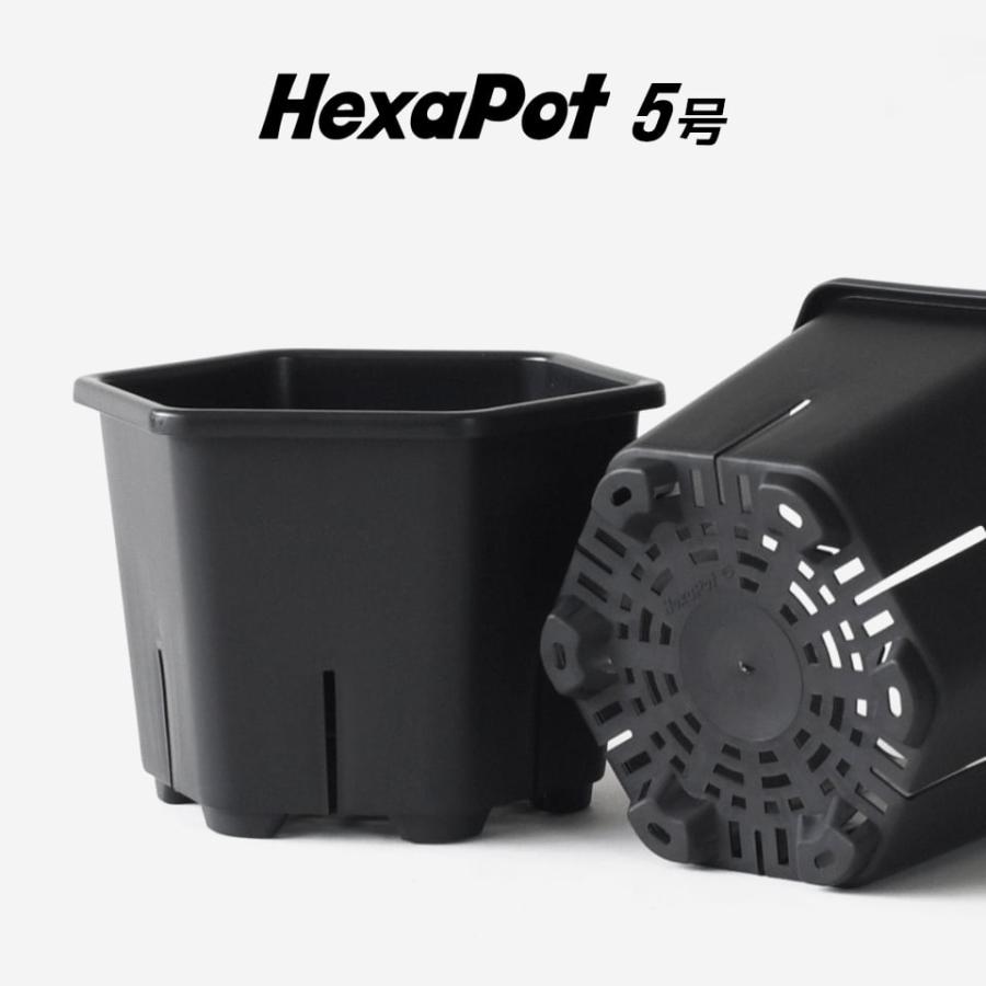 Hexa Pot 5号／植木鉢 スリット鉢 サークリング防止 通気 排水 作業